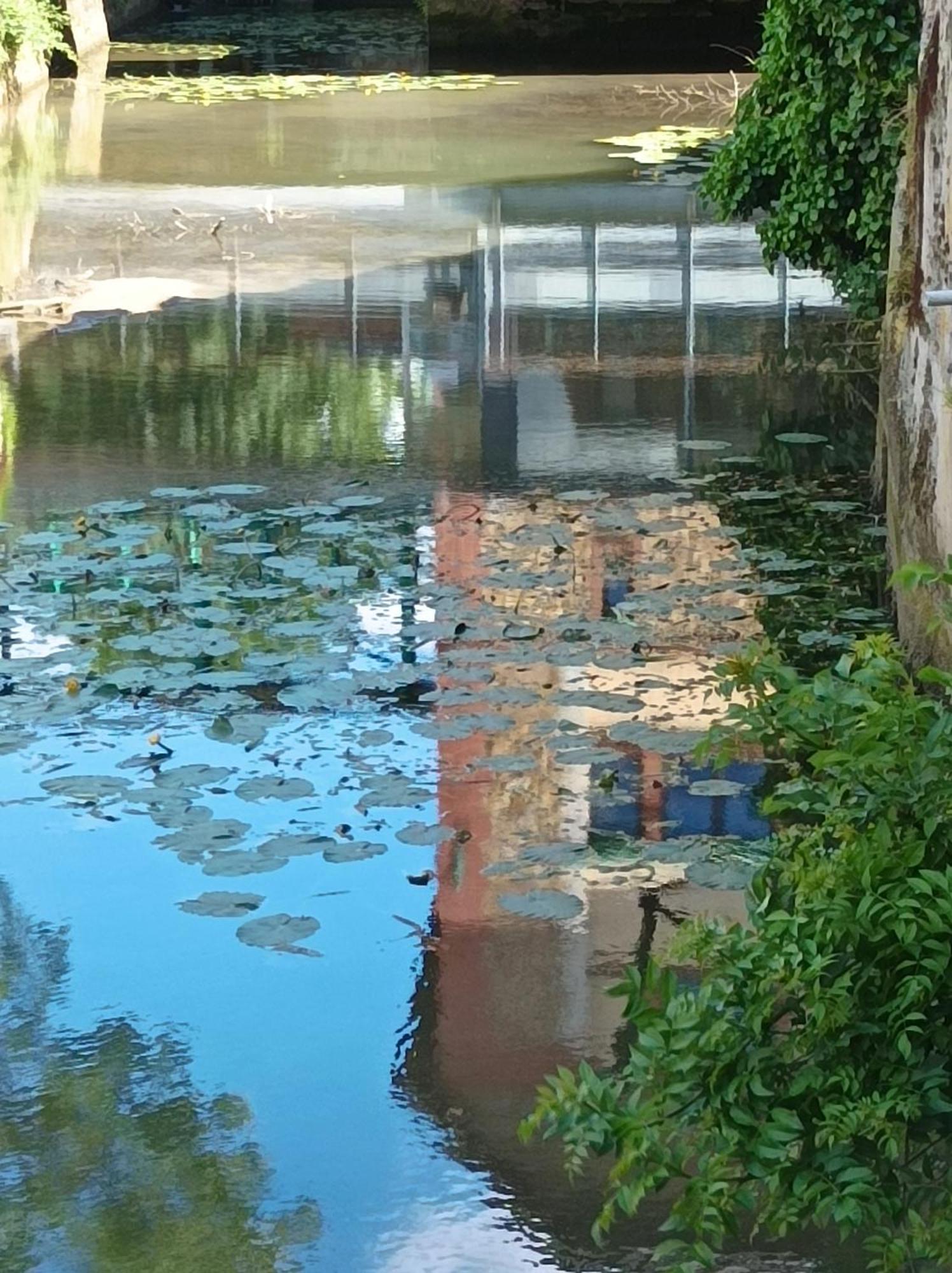 La Maison Au Bord De L'Eau Gracay المظهر الخارجي الصورة